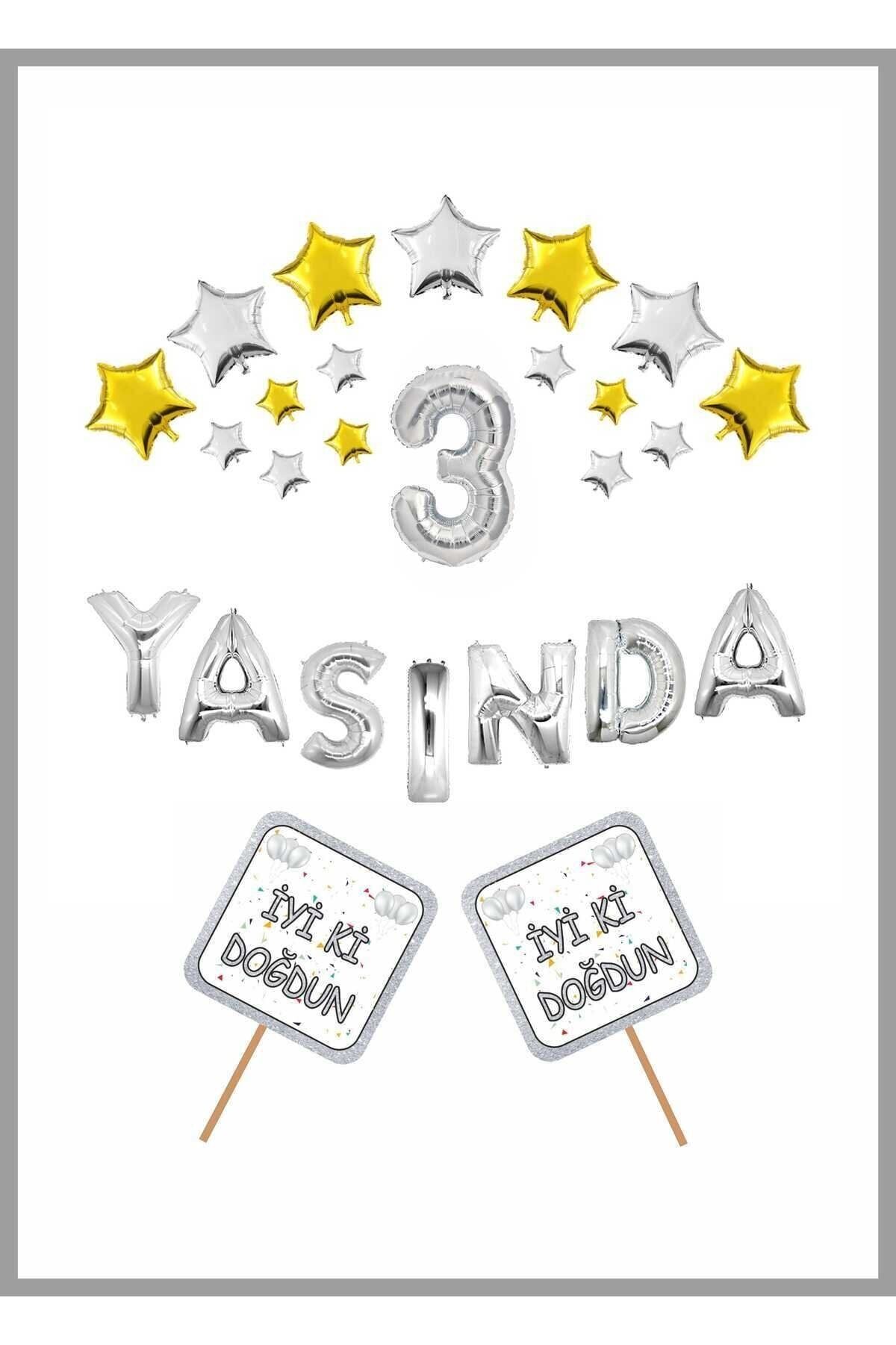 Yaşında GÜMÜŞ Konsept Doğum günü Parti Kutlama Seti