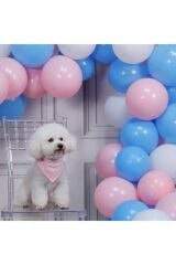 50 Adet Metalik Balon Ve 5 Metre Balon Zinciri (PEMBE- AÇIK MAVİ-BEYAZ)
